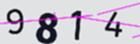 驗證碼
