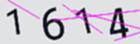 驗證碼