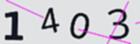 驗證碼