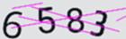 驗證碼