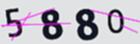 驗證碼