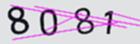 驗證碼
