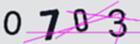 驗證碼