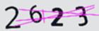 驗證碼
