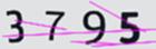 驗證碼
