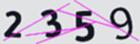 驗證碼