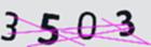 驗證碼