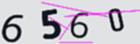 驗證碼