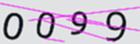 캡차