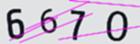 驗證碼