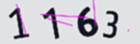 驗證碼