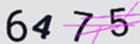 驗證碼