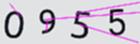 驗證碼