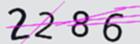 캡차
