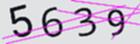 驗證碼