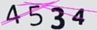 驗證碼