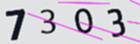 驗證碼
