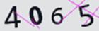 캡차
